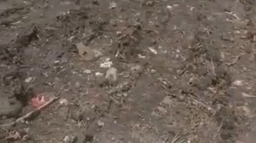 Jual Tanah 740m2 Gunung Agung Pemecutan Denbar