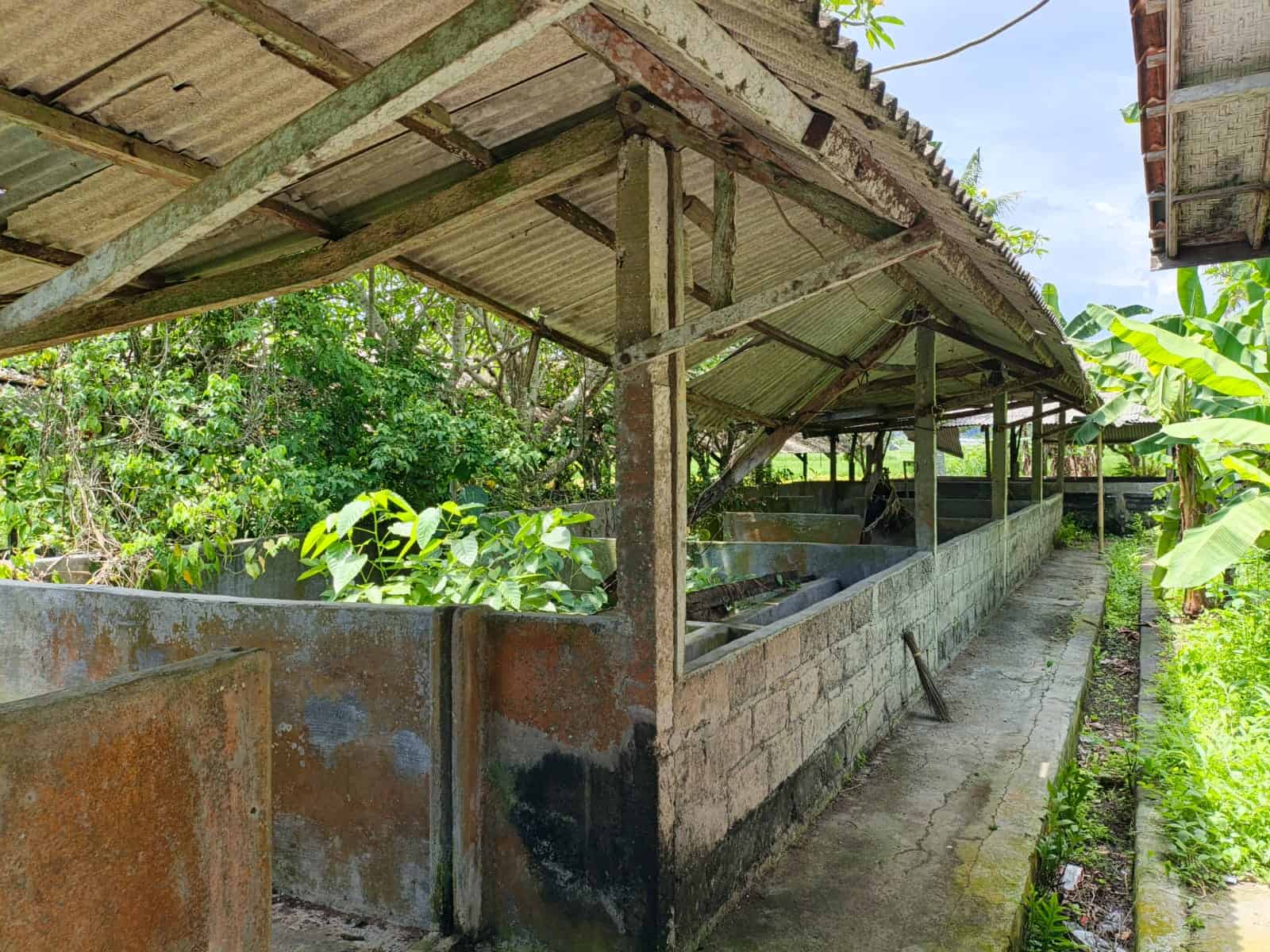 Jual Tanah Bekas Kandang Babi 5980m2 Abiansemal Badung Jual Tanah Bekas Kandang Babi 5980m2 Abiansemal Badung