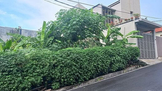Jual Tanah 4 Are Muding Denpasar Barat