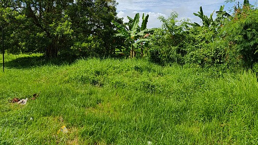 Jual Tanah 23430m2 Jalan Raya Denpasar Gilimanuk Tabanan