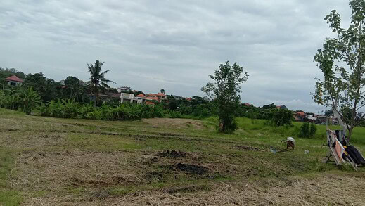 Jual Tanah 24 Are Subak Uma Canggu