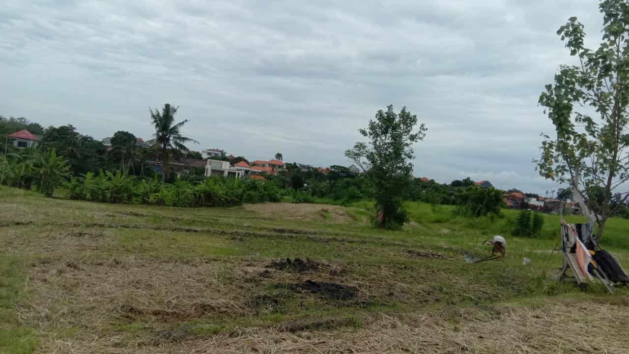 Jual Tanah 24 Are Subak Uma Canggu Jual Tanah 24 Are Subak Uma Canggu