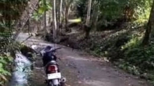 Jual Tanah 10 Hektar Buruan Penebel Tabanan Untuk Peternakan Pertanian