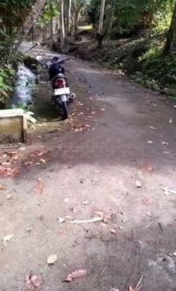 Jual Tanah 10 Hektar Buruan Penebel Tabanan Untuk Peternakan Pertanian Jual Tanah 10 Hektar Buruan Penebel Tabanan Untuk Peternakan Pertanian