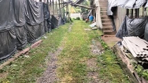 Jual Tanah 40 Are Gadung Sari Selemadeg Timur Tabanan