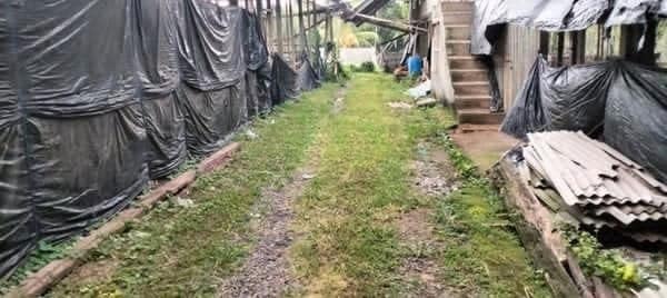 Jual Tanah 40 Are Gadung Sari Selemadeg Timur Tabanan Jual Tanah 40 Are Gadung Sari Selemadeg Timur Tabanan