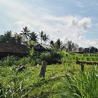 Jual Tanah 1167m2 15x75 Permata Pering Gianyar
