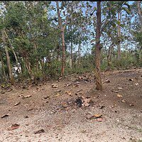 Jual Tanah 2777m2 Uluwatu Pecatu Badung