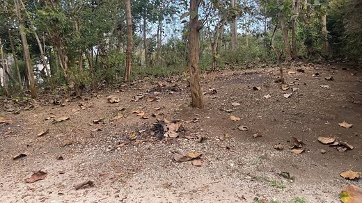 Jual Tanah 2777m2 Uluwatu Pecatu Badung