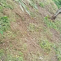 Jual Tanah Siap Bangun Bebas Banjir 180m2 atau 490m2 Kerobokan Badung