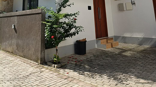 Sewa Tahunan Bulanan Villa Baru 2 Lantai 3 Kamar Pet Freindly Full Furnished Pererenan