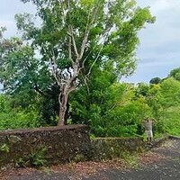 Jual Tanah Murah 10 Are Goa Gong Kutuh Kuta Selatan