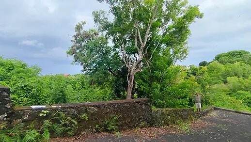 Jual Tanah Murah 10 Are Goa Gong Kutuh Kuta Selatan