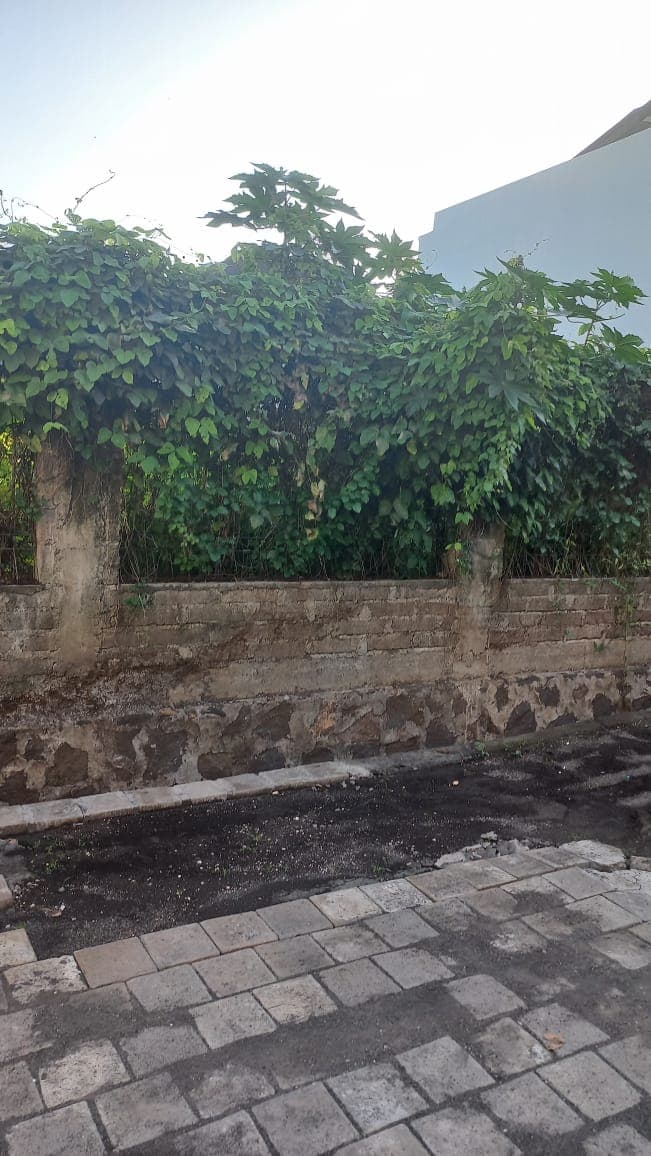 Jual Tanah Siap Bangun Hadap Timur Laut 311m2 Tibubeneng Canggu Jual Tanah Siap Bangun Hadap Timur Laut 311m2 Tibubeneng Canggu