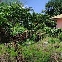 Over Kontrak Tanah Hingga Mei 2043 430m2 Pererenan Canggu