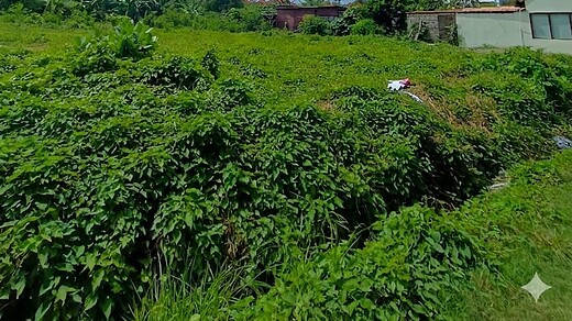 Sewa Maks 20 Tahun Tanah 1266m2 Merdeka Renon Denpasar