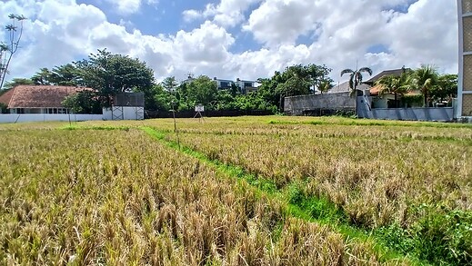 Sewa Min 10 Tahun Tanah Hadap Selatan 24 Are Pantai Berawa Badung