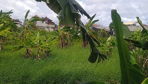 Sewa Min 20 Tahun Tanah 23 Are Tukad Petanu Denpasar
