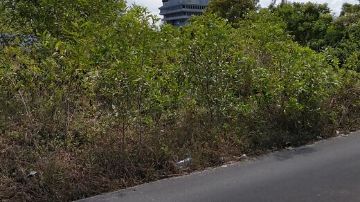 Jual Cepat Tanah Hadap Utara 500m2 Ungasan Kuta Selatan Dekat GWK