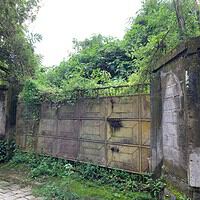 Jual Tanah 2015m2 Petulu Ubud Gianyar