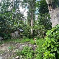 Jual Tanah 5 Are Hadap Barat Pecatu Kuta Selatan Badung