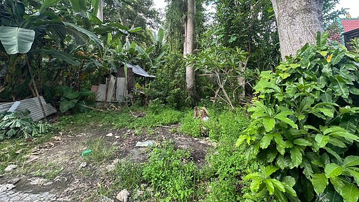 Jual Tanah 5 Are Hadap Barat Pecatu Kuta Selatan Badung