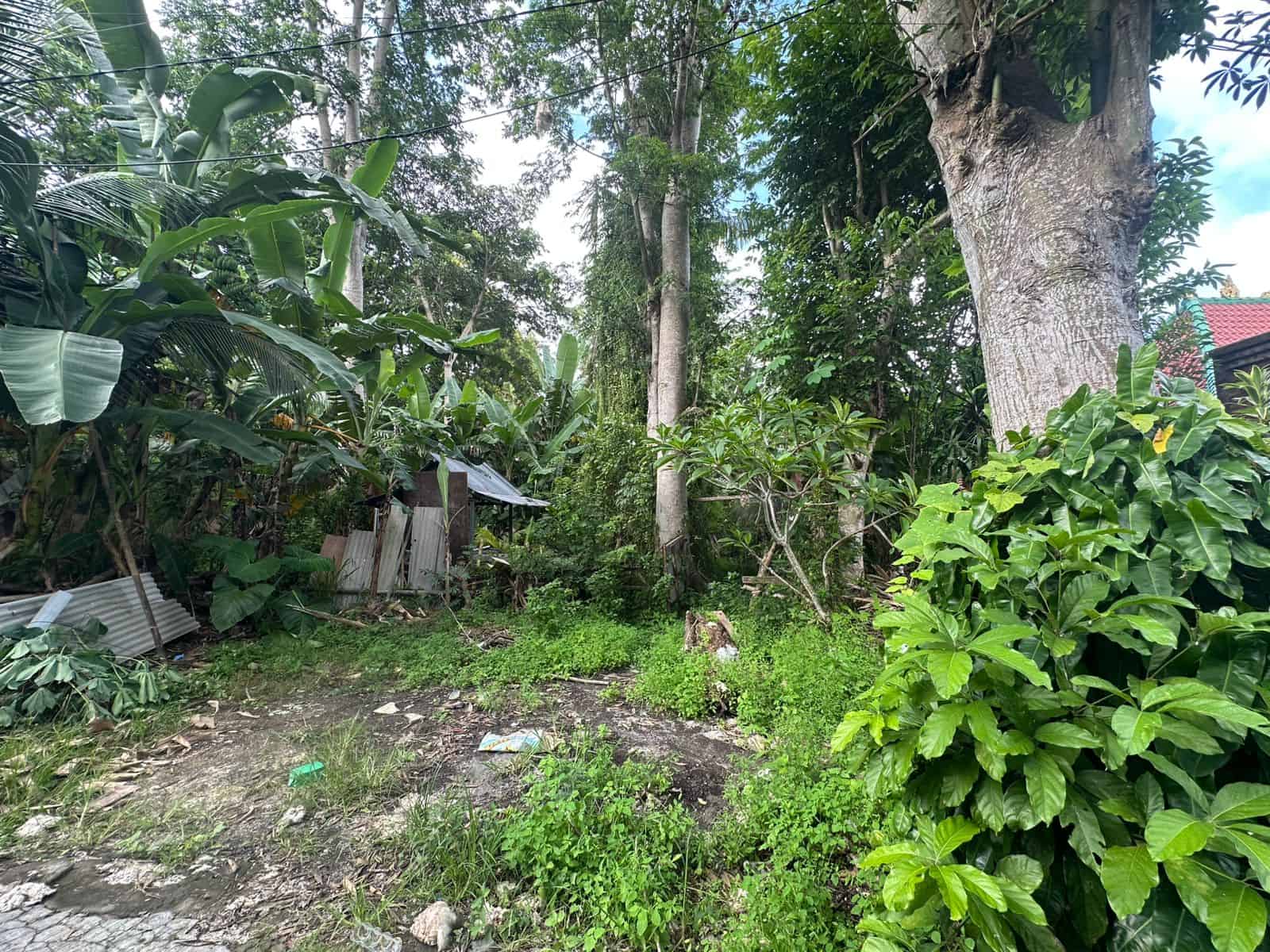 Jual Tanah 5 Are Hadap Barat Pecatu Kuta Selatan Badung Jual Tanah 5 Are Hadap Barat Pecatu Kuta Selatan Badung