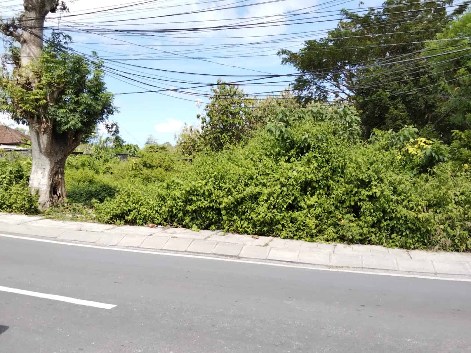 Jual Tanah 500m2 Pantai Melasti Ungasan Kuta Selatan Badung Jual Tanah 500m2 Pantai Melasti Ungasan Kuta Selatan Badung